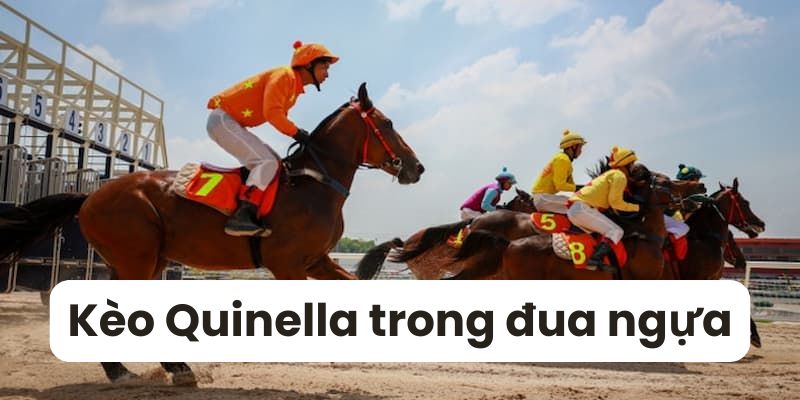 Kèo Quinella phổ biến trong đua ngựa